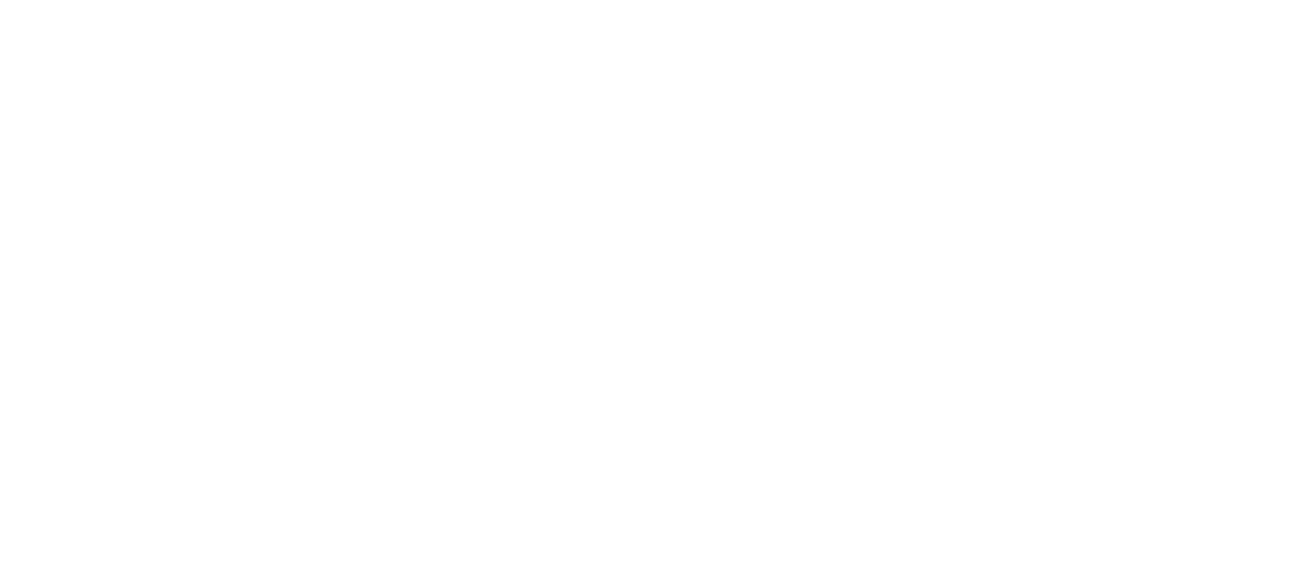 Salon Koniki